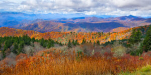 NC High Country Real Estate, Boone, Blowing Rock, Banner Elk, Fleetwood, North Carolina, Linville, NC Homes for Sale, Land For Sale, Sugar Mountain Homes for sale